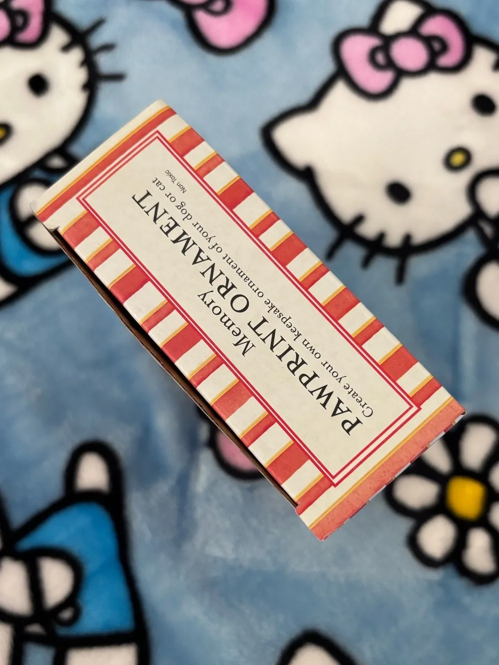 Paw print ornament kit